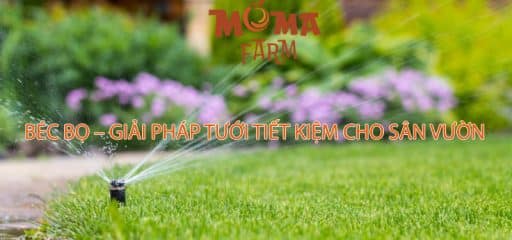 Béc Bọ – Giải Pháp Tưới Tiết Kiệm Cho Sân Vườn