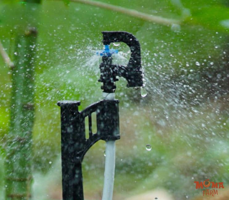 Bec VP39 – Giai Phap Tuoi Hieu Qua Cho Cay Ca Phe 1