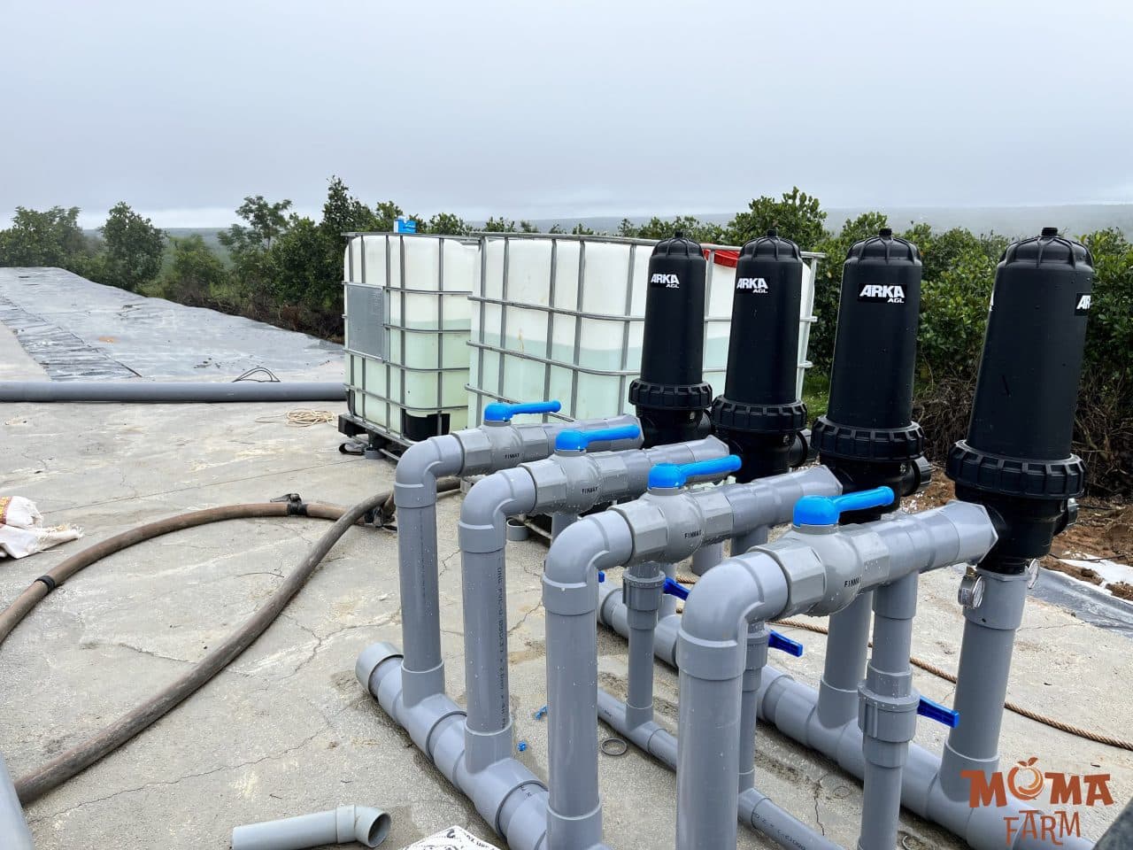 Bo Loc Dia T90 Ngan Nghet Bec Tuoi 1 1