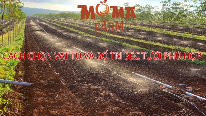 Cách Chọn Vật Tư Và Bố Trí Béc Tưới Phù Hợp