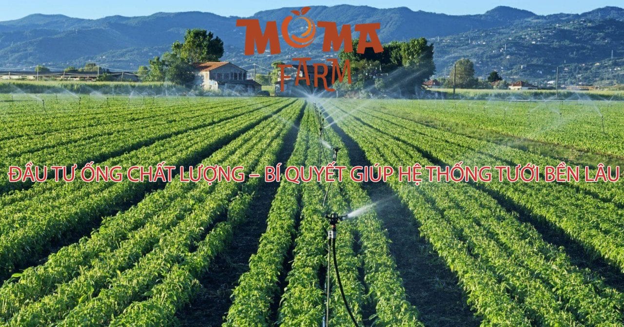 Đầu Tư Ống Chất Lượng – Bí Quyết Giúp Hệ Thống Tưới Bền Lâu