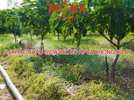 Sự Khác Nhau Giữa Béc Bù Áp Và Không Bù Áp
