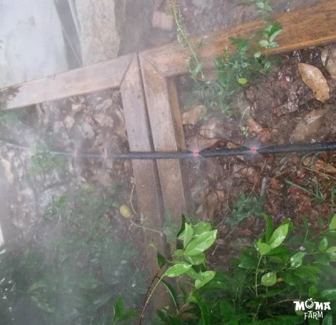 Tong Hop Cac Loai Bec Bo Pho Bien Nhat Duoc Nong Dan Tin Dung 1