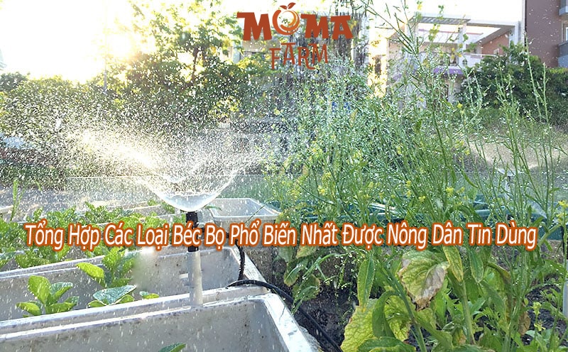 Tổng Hợp Các Loại Béc Bọ Phổ Biến Nhất Được Nông Dân Tin Dùng