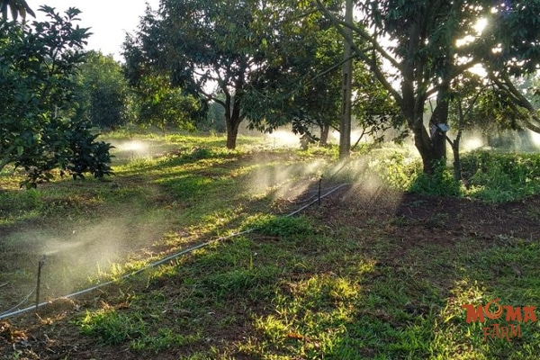 Tu Lam He Thong Tuoi Tu Dong Tai Nha – Co Kho Khong 3 1