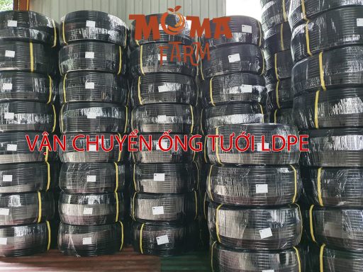 Vận Chuyển Ống Tưới LDPE
